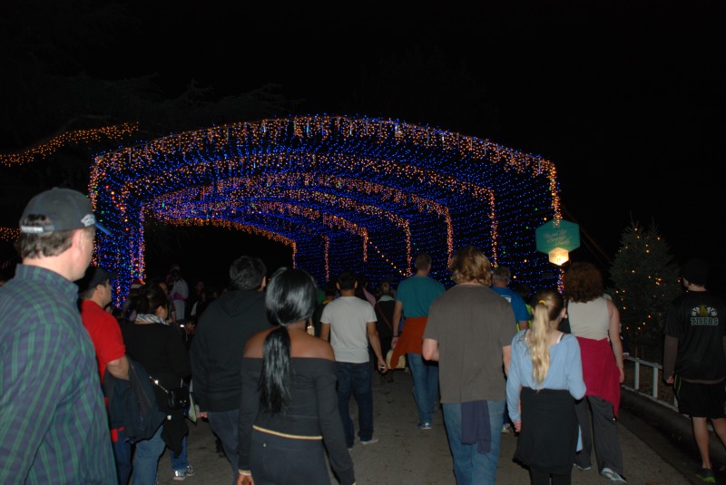 2013/2013 Christmas/800x600_2013-12-20 20-38-11 Trail of Lights.jpg